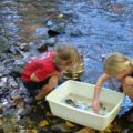 Children exploring the stream.