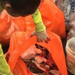 Garbage is placed in orange bags which are picked up by the Department of Public Works.