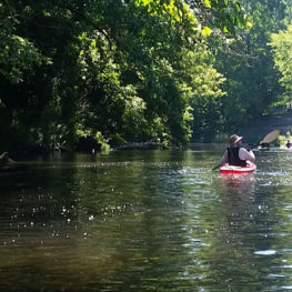 river paddle